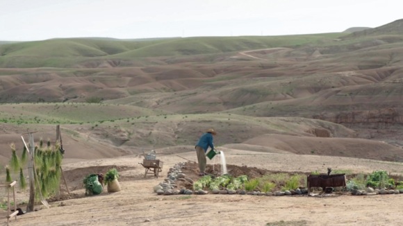 Photo from the movie One Man and His Cow