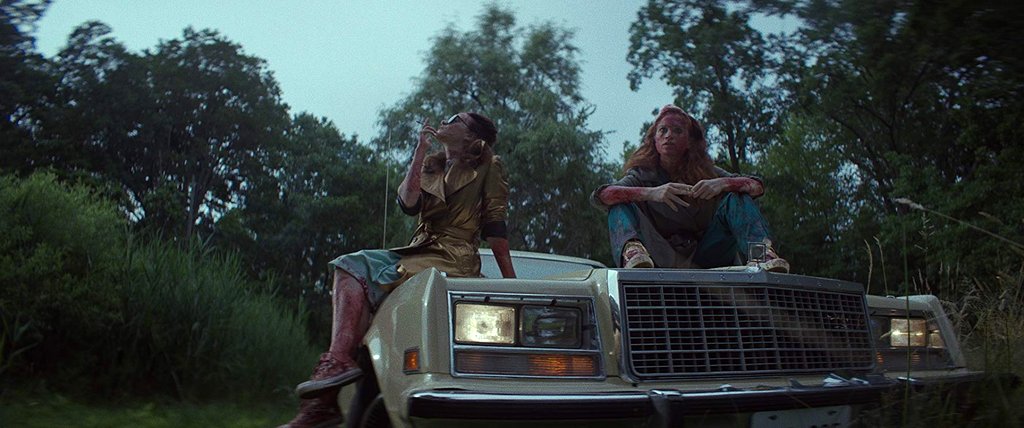 Photo from the movie Braid