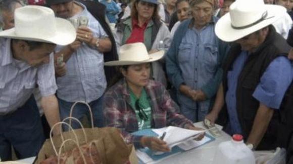 Photo from the movie The Garden