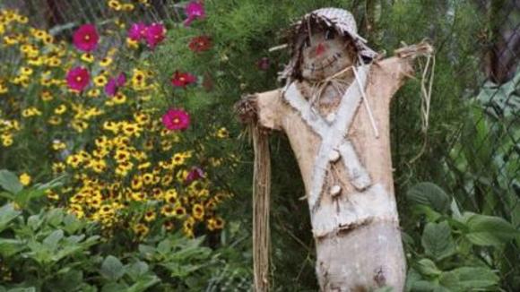 Photo from the movie The Garden