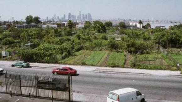 Photo from the movie The Garden