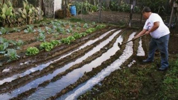 Photo from the movie The Garden