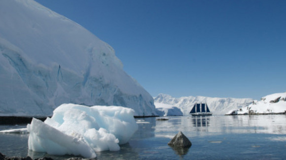 Photo from the movie The Last Continent