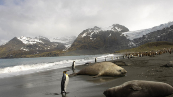 Photo from the movie The Last Continent