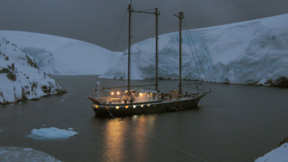 Photo from the movie The Last Continent