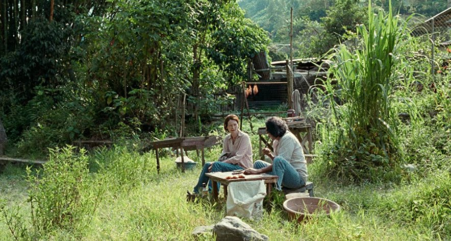 Photo from the movie Memoria