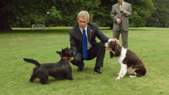 Photo from the movie W.