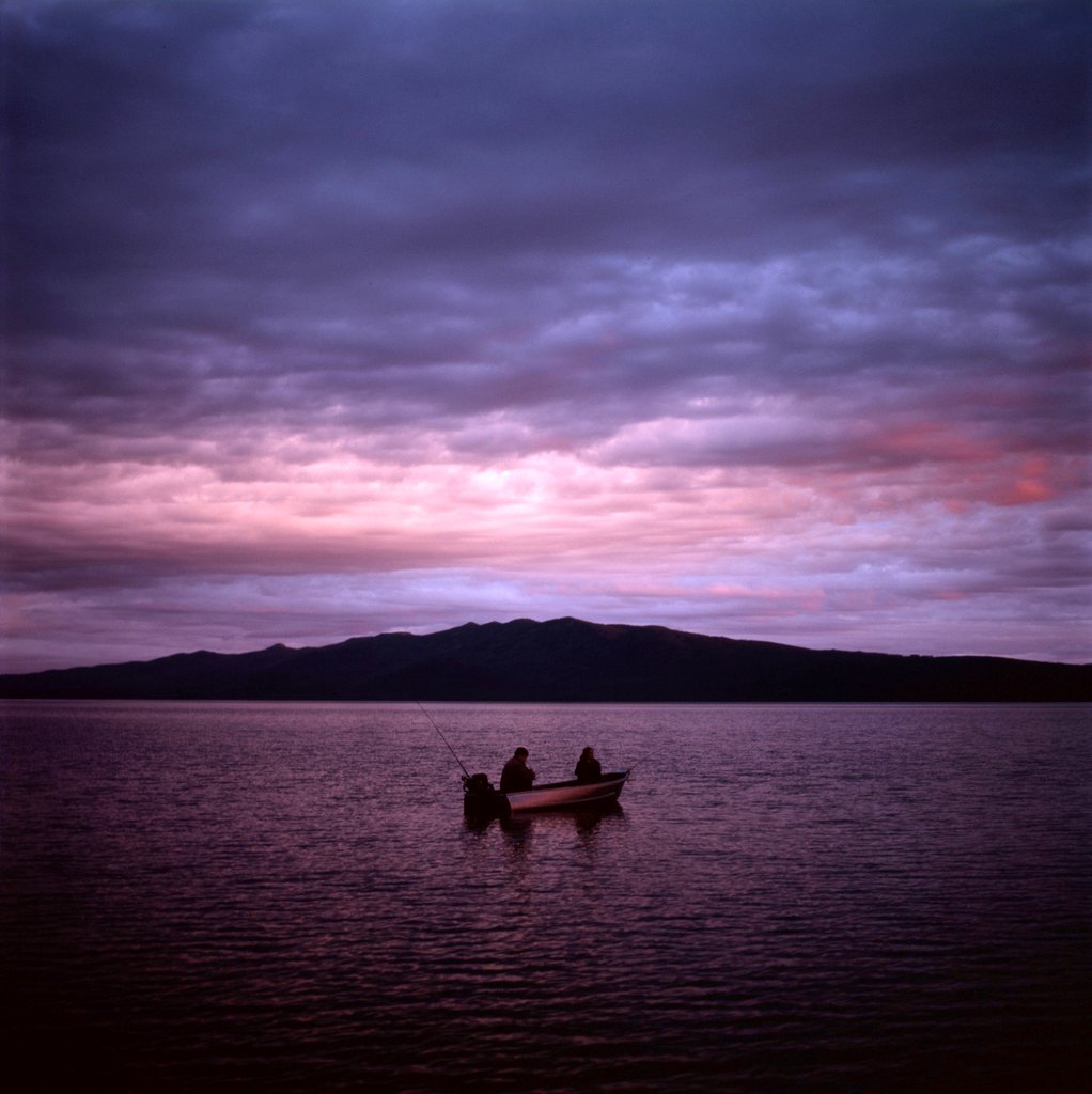 Photo from the movie Never Steady, Never Still