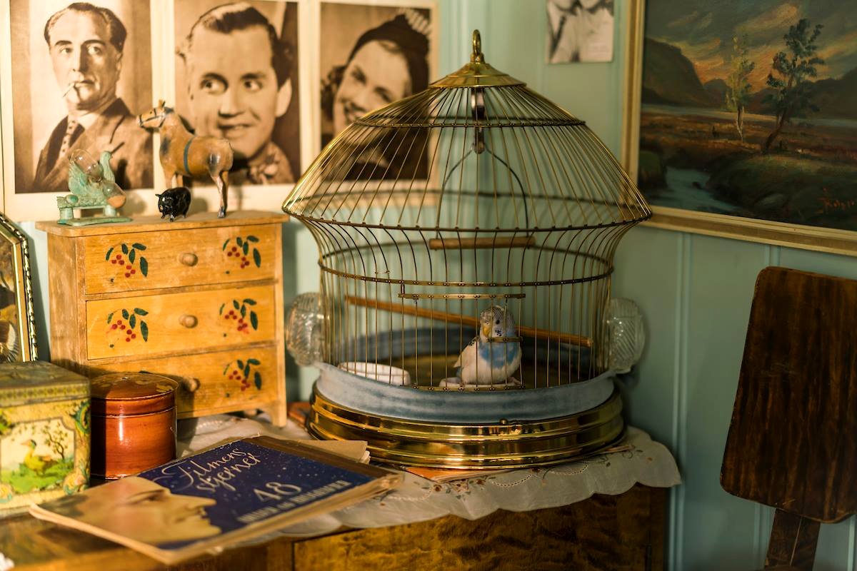 Photo from the movie The Birdcatcher