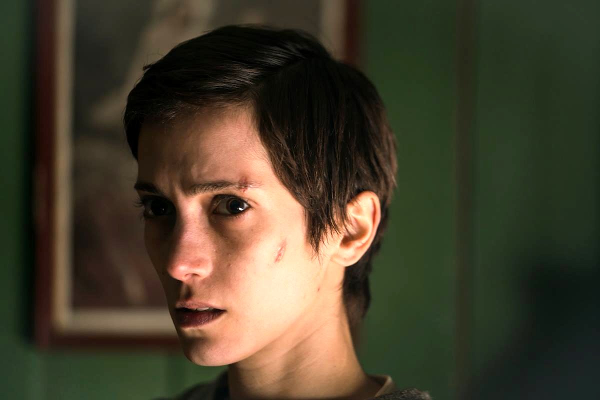 Photo from the movie The Birdcatcher