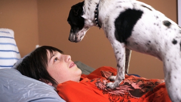 Photo from the movie Vampire Dog