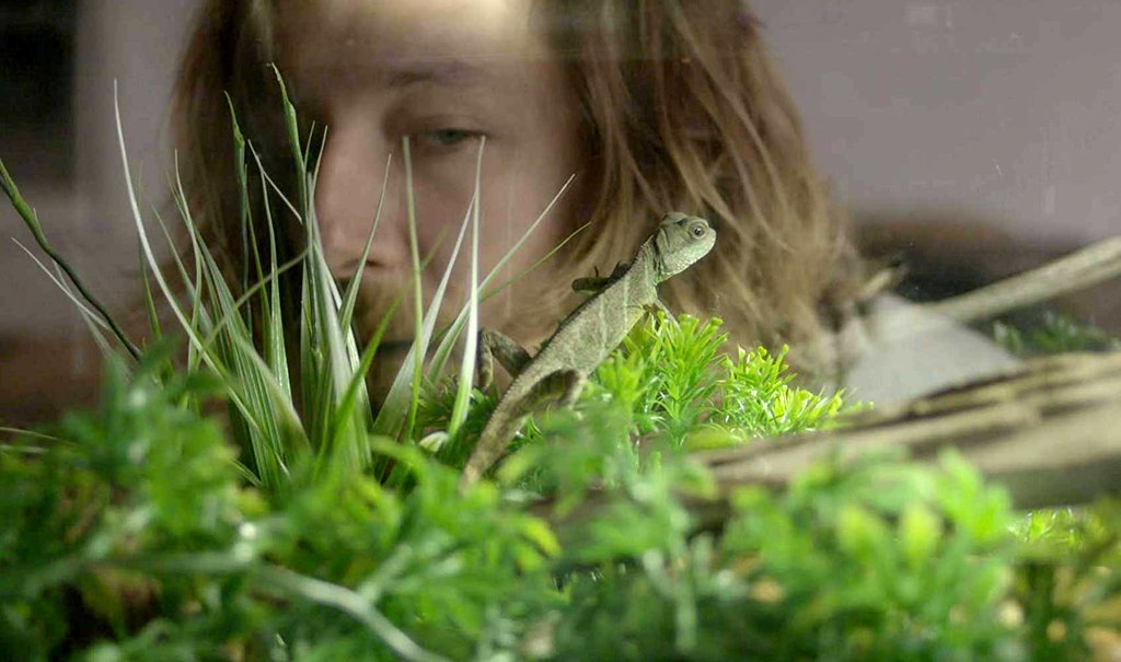 Photo from the movie Impetus