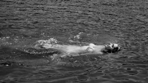 Photo from the movie Creature from the Black Lagoon