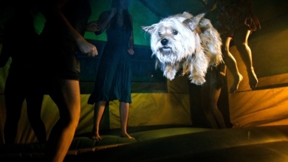 Photo from the movie Project X