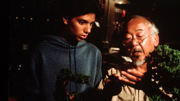 Photo from the movie The Karate Kid