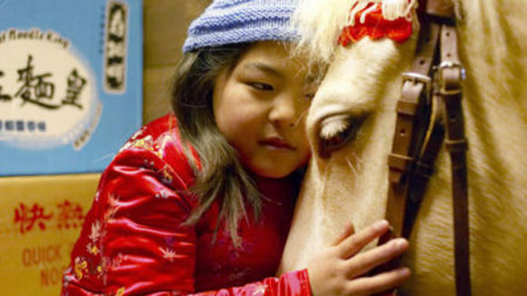 Photo from the movie Winky's Horse