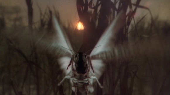 Photo from the movie Exorcist II: The Heretic