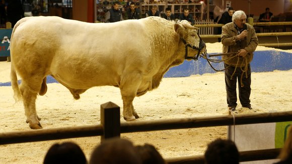 Photo from the movie Saint Amour