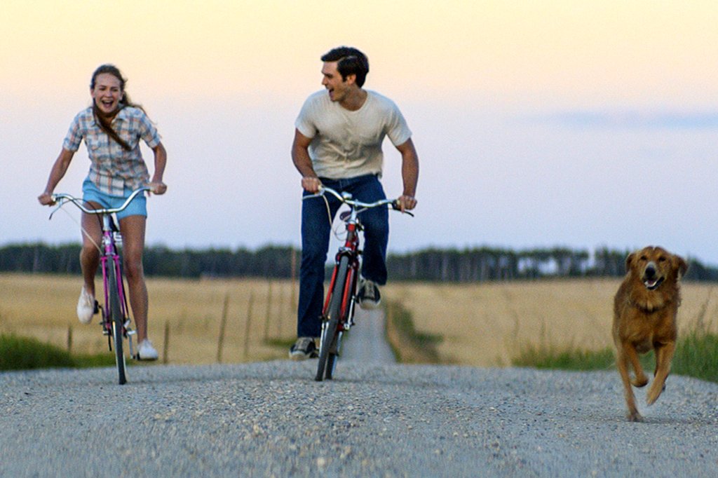 Photo from the movie A Dog's Purpose