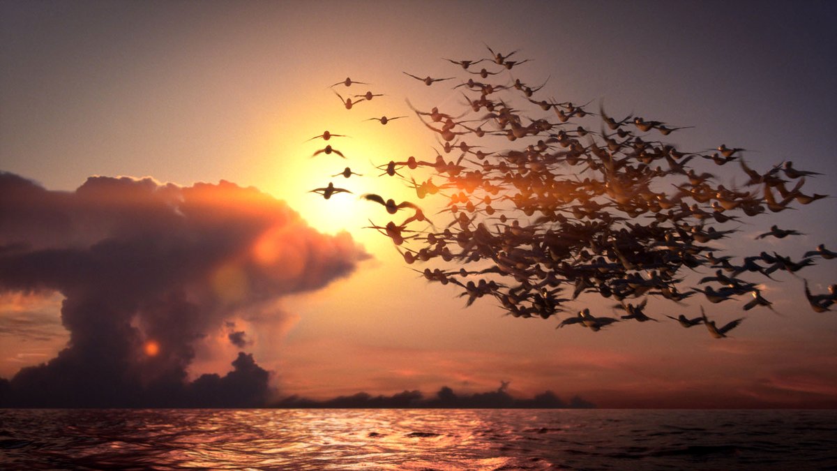 Photo from the movie Manou the Swift