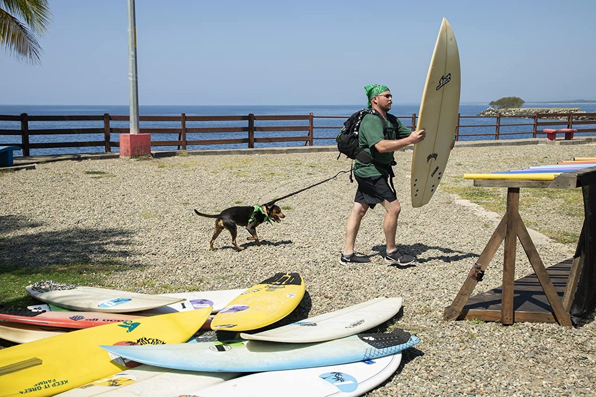 Photo from the movie The Pack