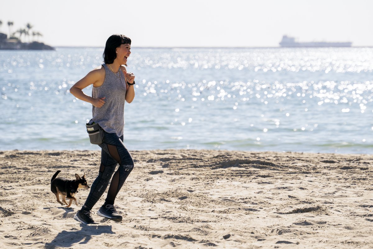 Photo from the movie The Pack