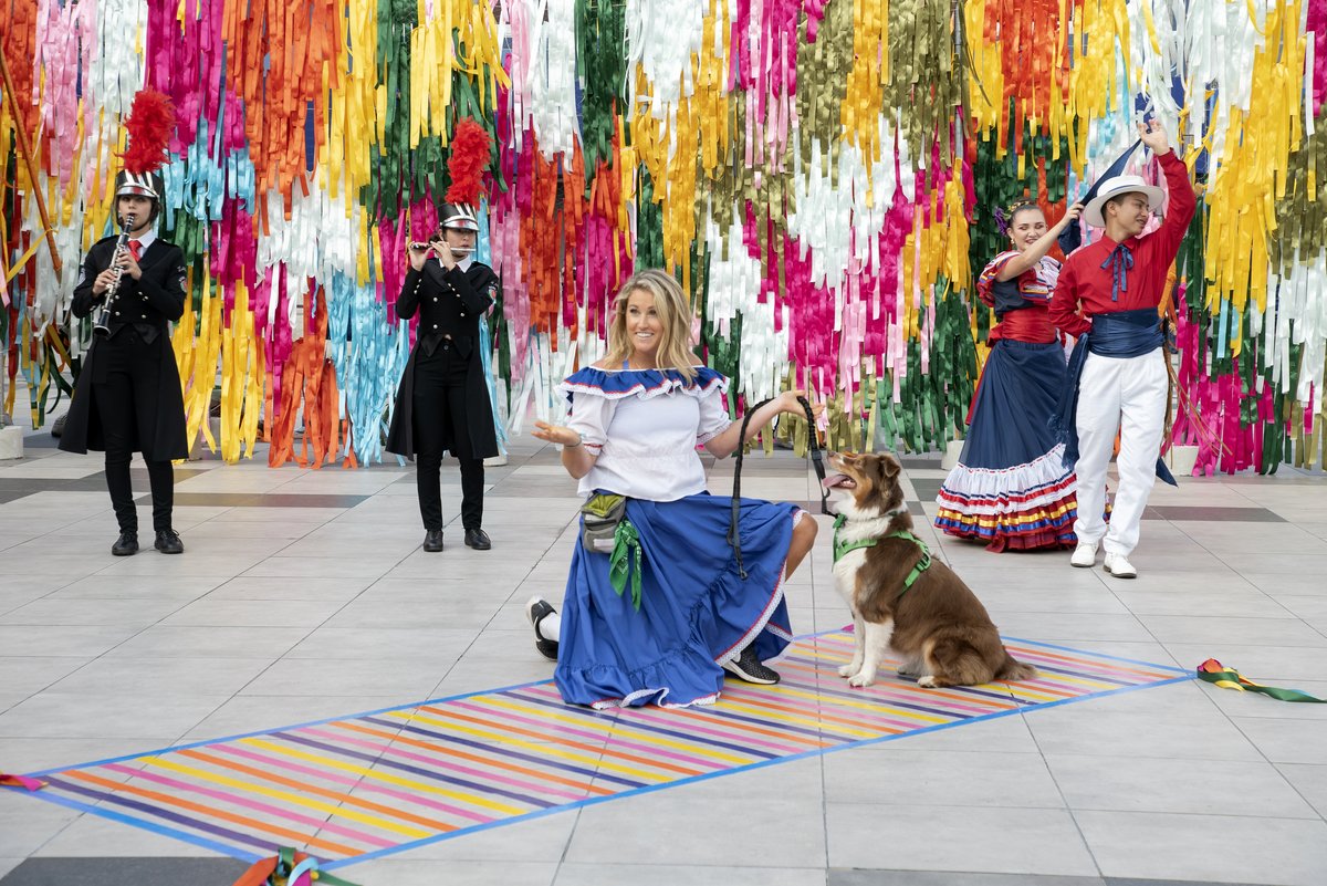 Photo from the movie The Pack