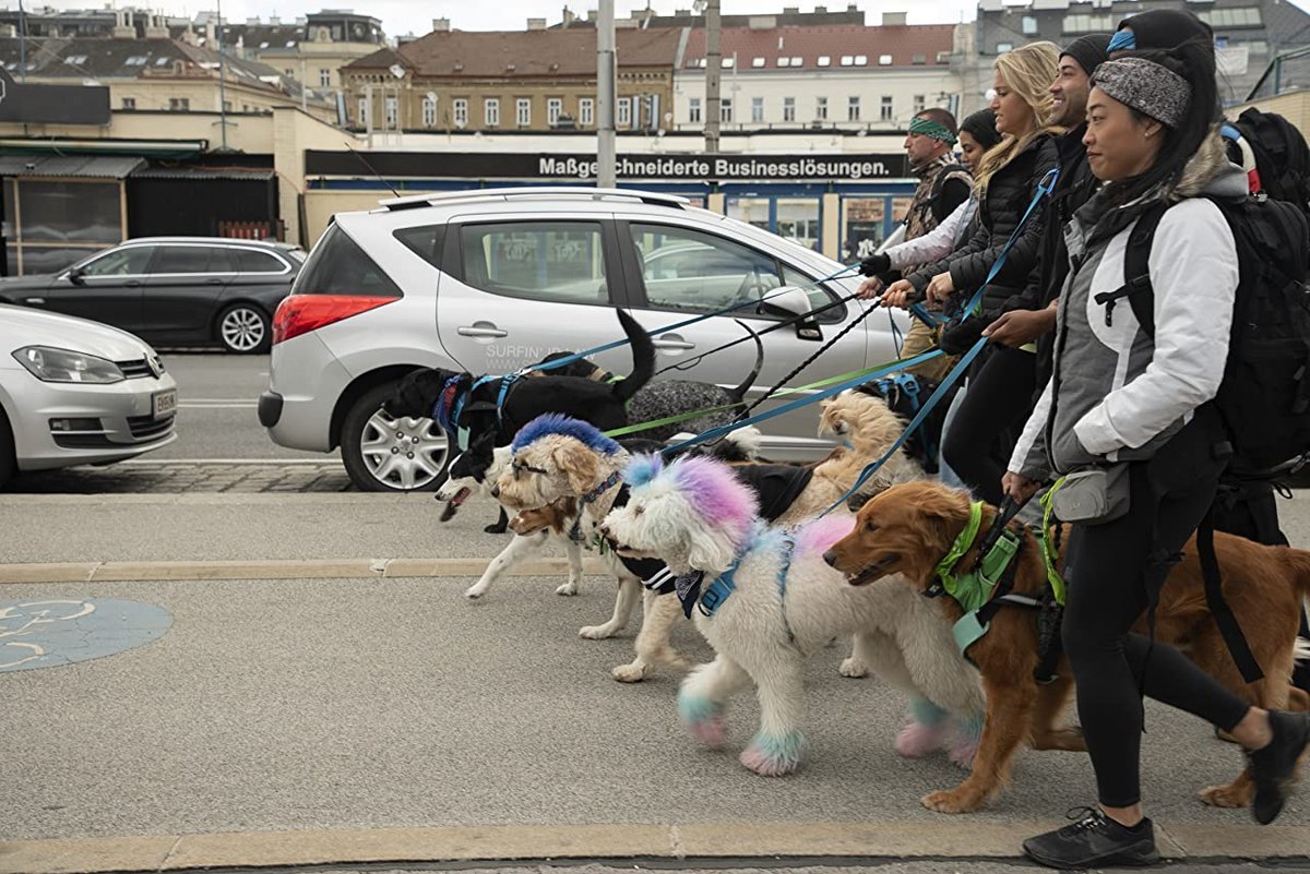 Photo from the movie The Pack