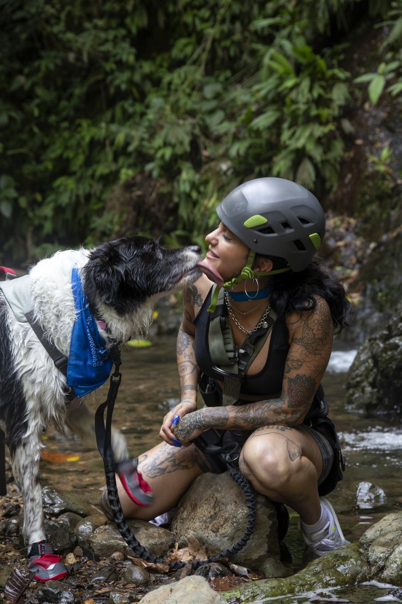 Photo from the movie The Pack