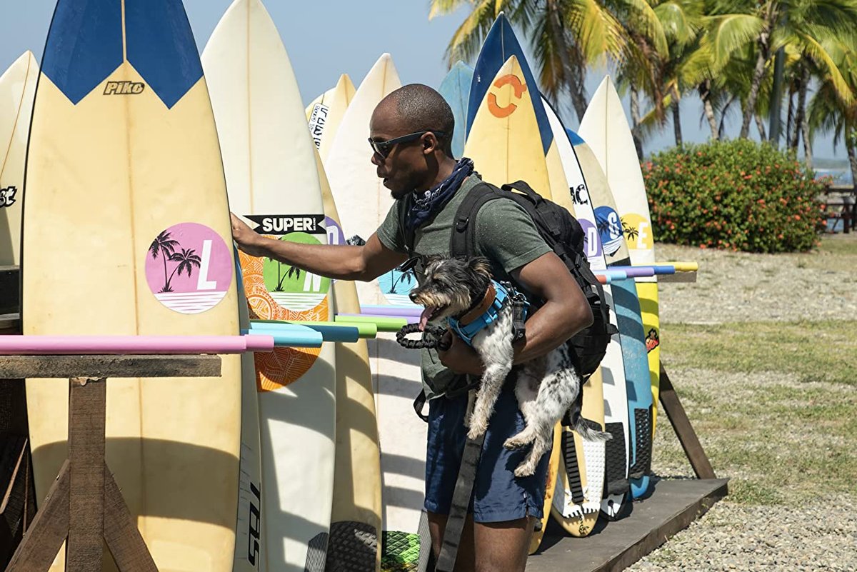 Photo from the movie The Pack