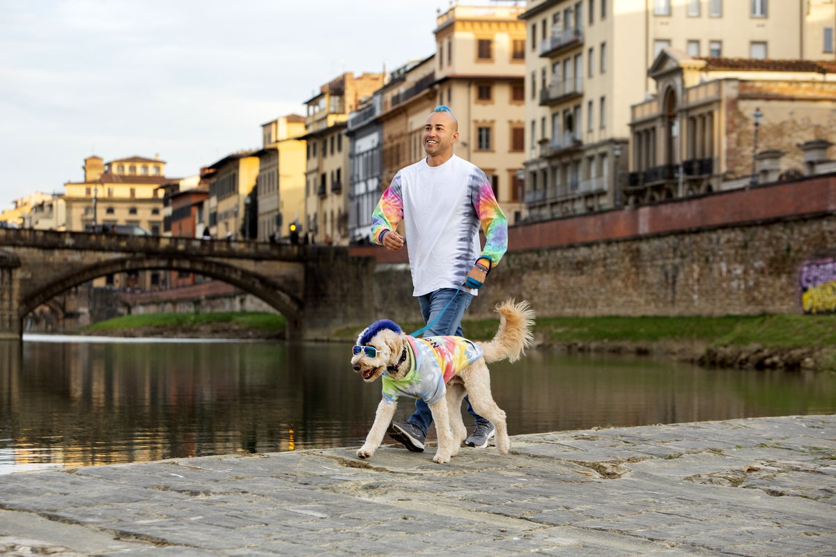 Photo from the movie The Pack