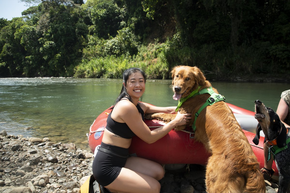 Photo from the movie The Pack