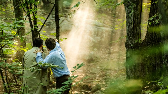 Photo from the movie The Sea of Trees