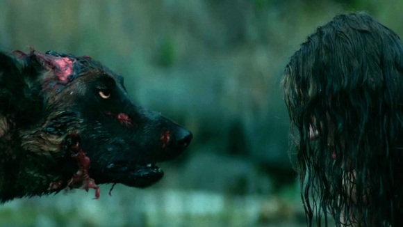 Photo from the movie Cabin Fever