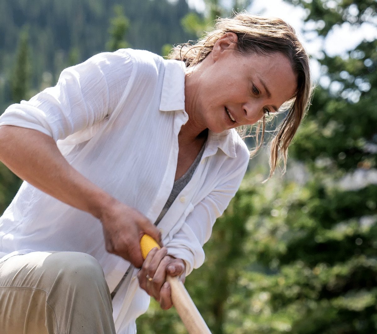 Photo from the movie Land