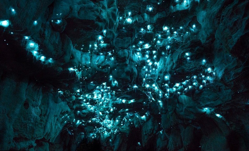 Photo from the movie One Strange Rock