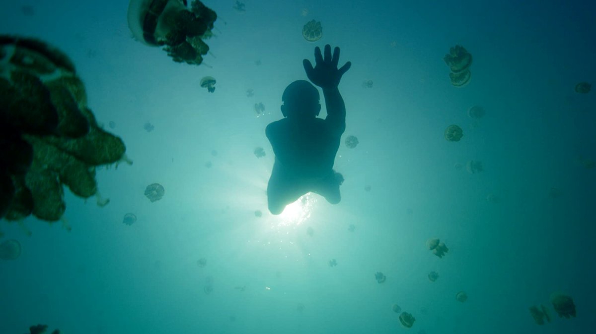 Photo from the movie One Strange Rock