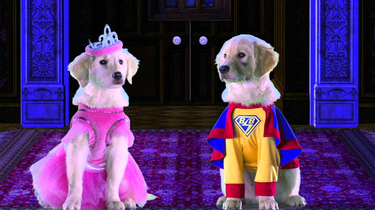 Photo from the movie Spooky Buddies