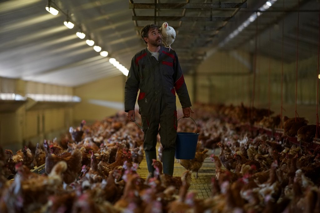 Photo from the movie Roxane