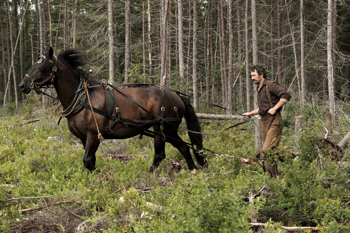 Photo from the movie Maria Chapdelaine