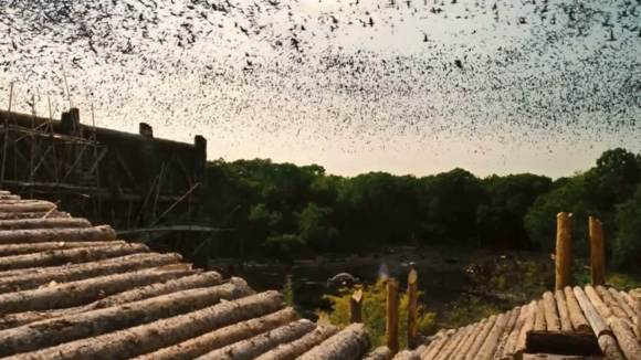 Photo from the movie Noah