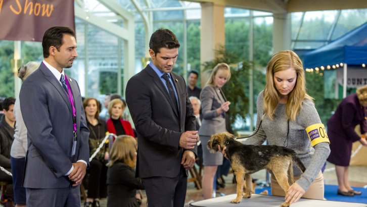 Photo from the movie Unleashing Mr. Darcy