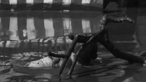 Photo du film Le Salaire de la peur [1953]