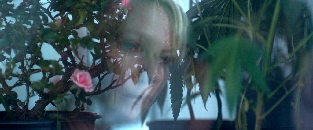 Photo from the movie Woodshock