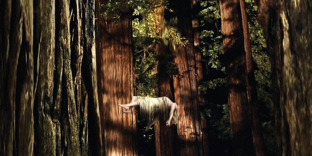 Photo from the movie Woodshock