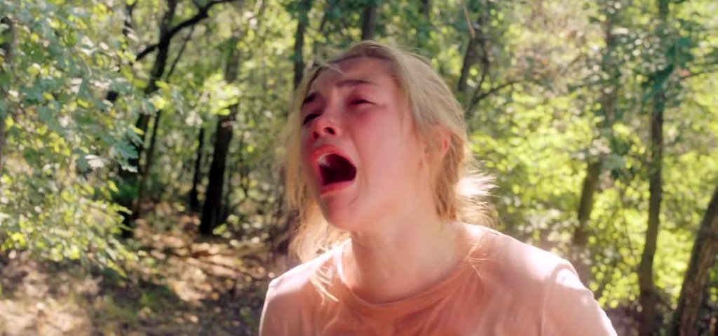 Photo from the movie Midsommar