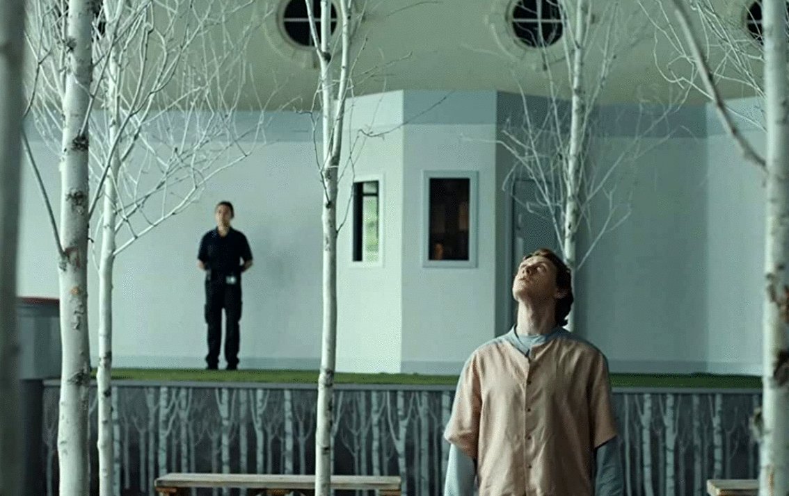 Photo from the movie Wolf