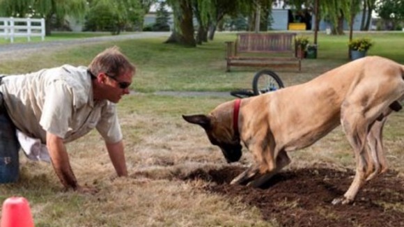 Photo from the movie Marmaduke