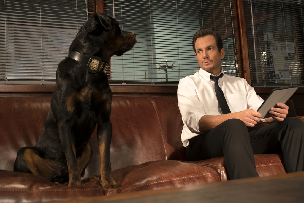 Photo from the movie Show Dogs