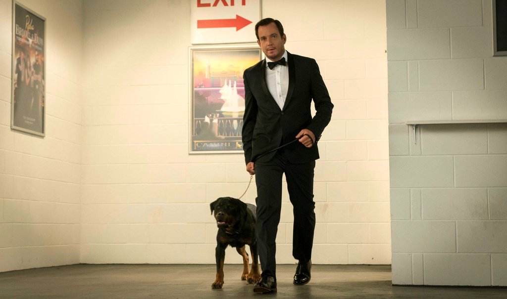 Photo from the movie Show Dogs